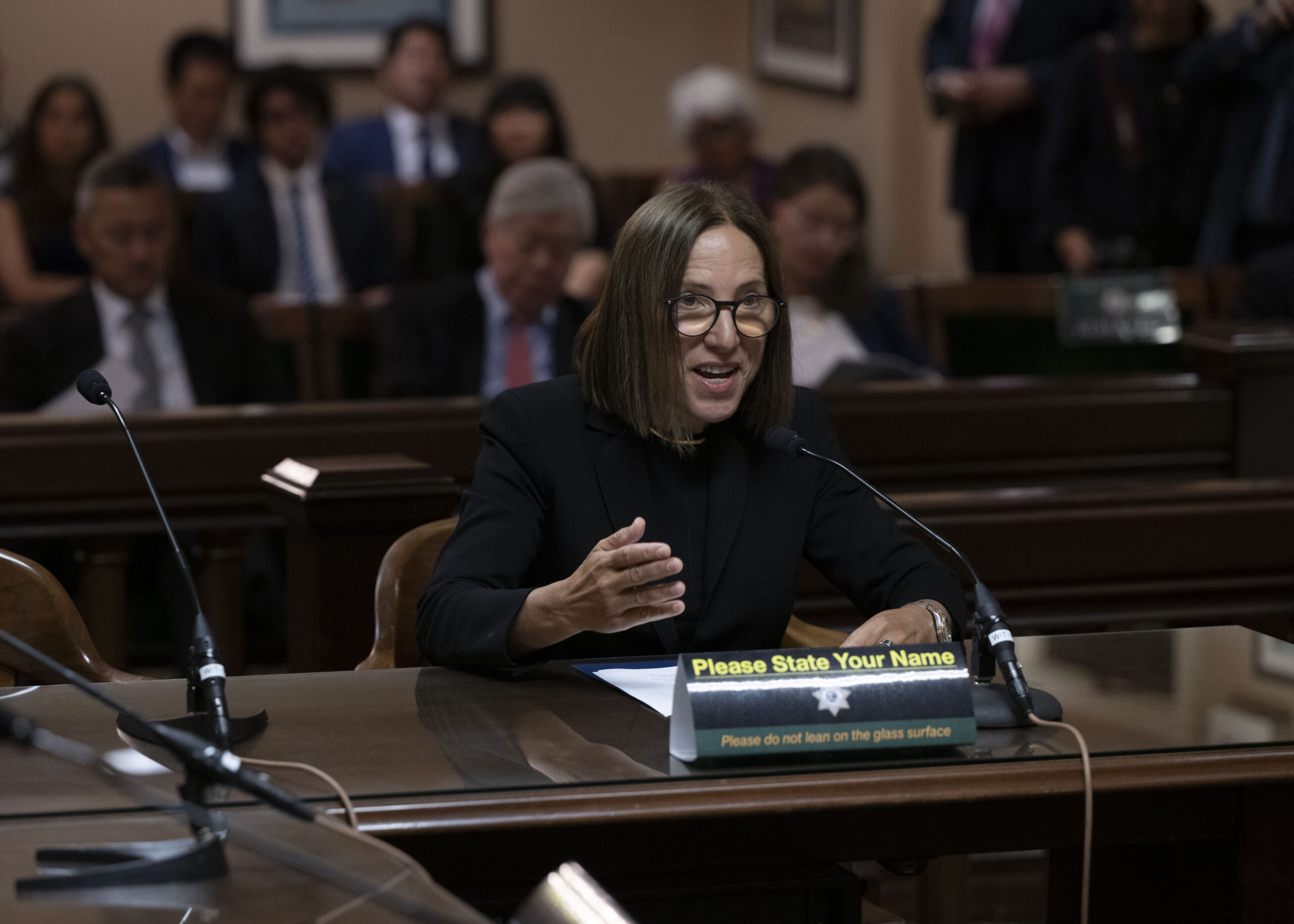 Image of Lt. Governor Kounalakis speaking at Investment and Trade Committee Hearing