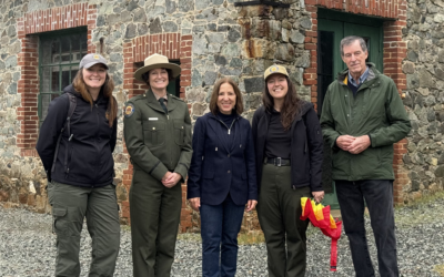 December 2025 Round-Up